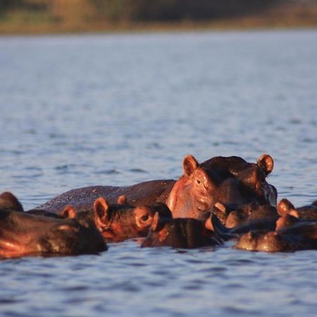 نيروبي Lake Naivasha Simba Lodge المظهر الخارجي الصورة