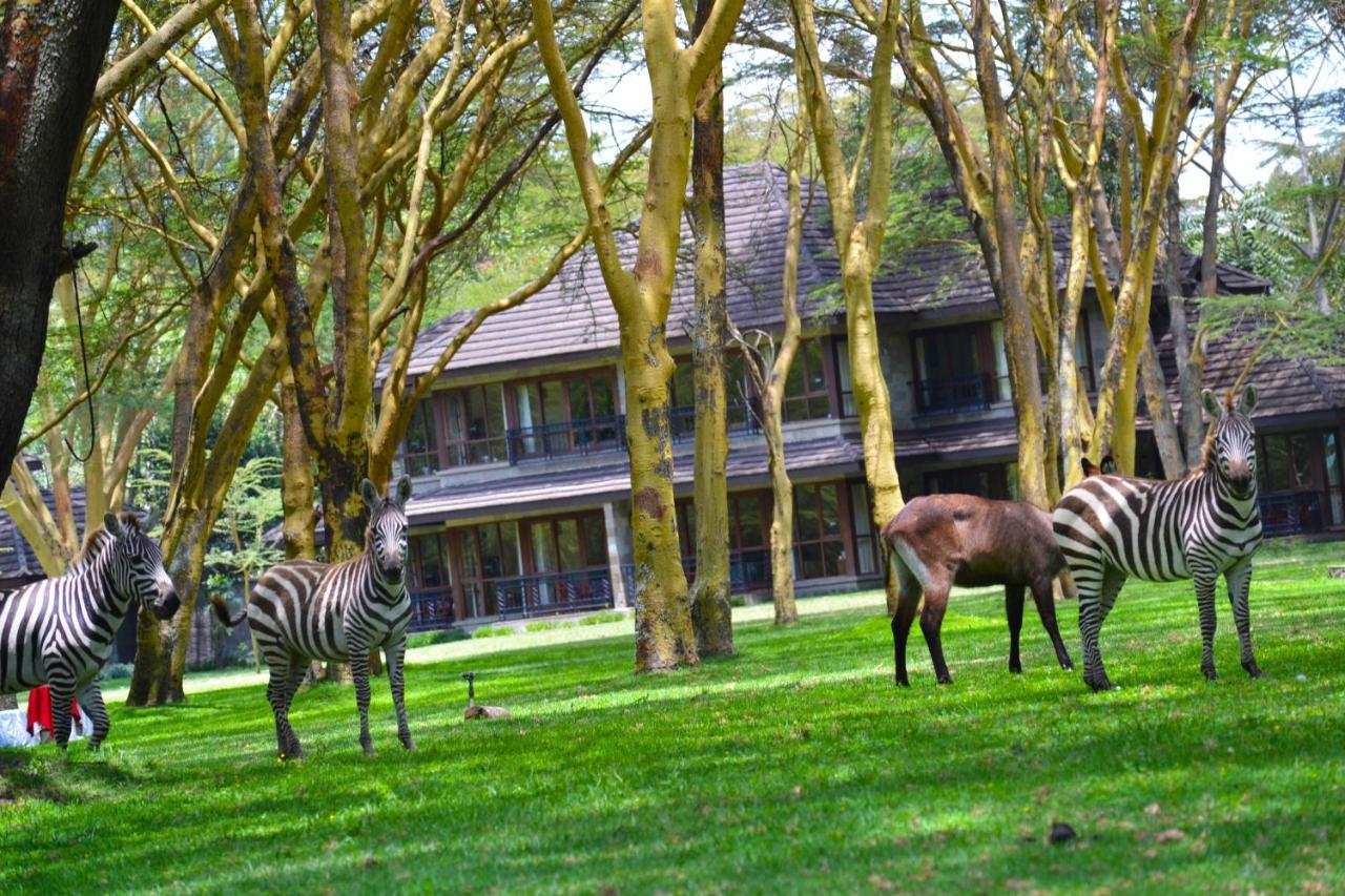 نيروبي Lake Naivasha Simba Lodge المظهر الخارجي الصورة